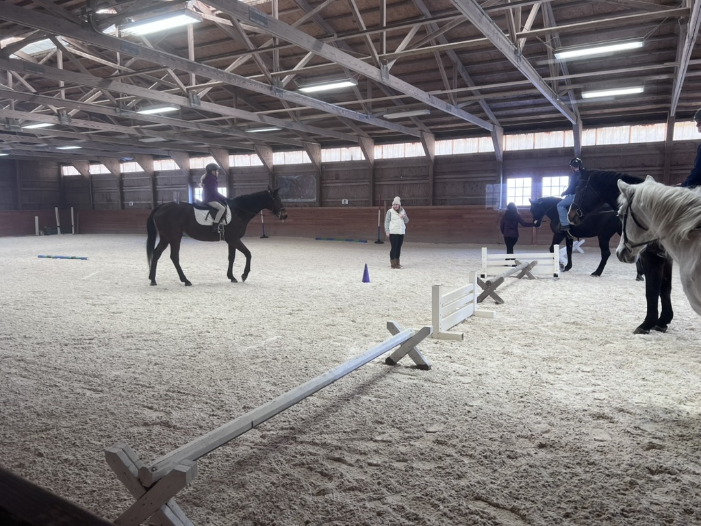 Indoor arena at Furlyn Farm