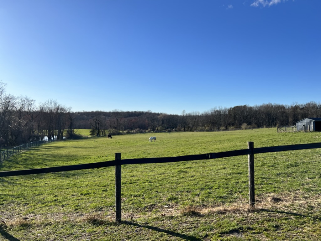 Green pasture and fencing under a clear sky