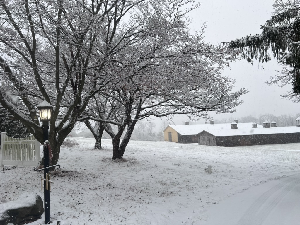 Winter at the farm: snow-covered trees, lamppost, and barn