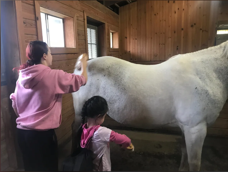 Camper learning horse grooming in the Furlyn barn